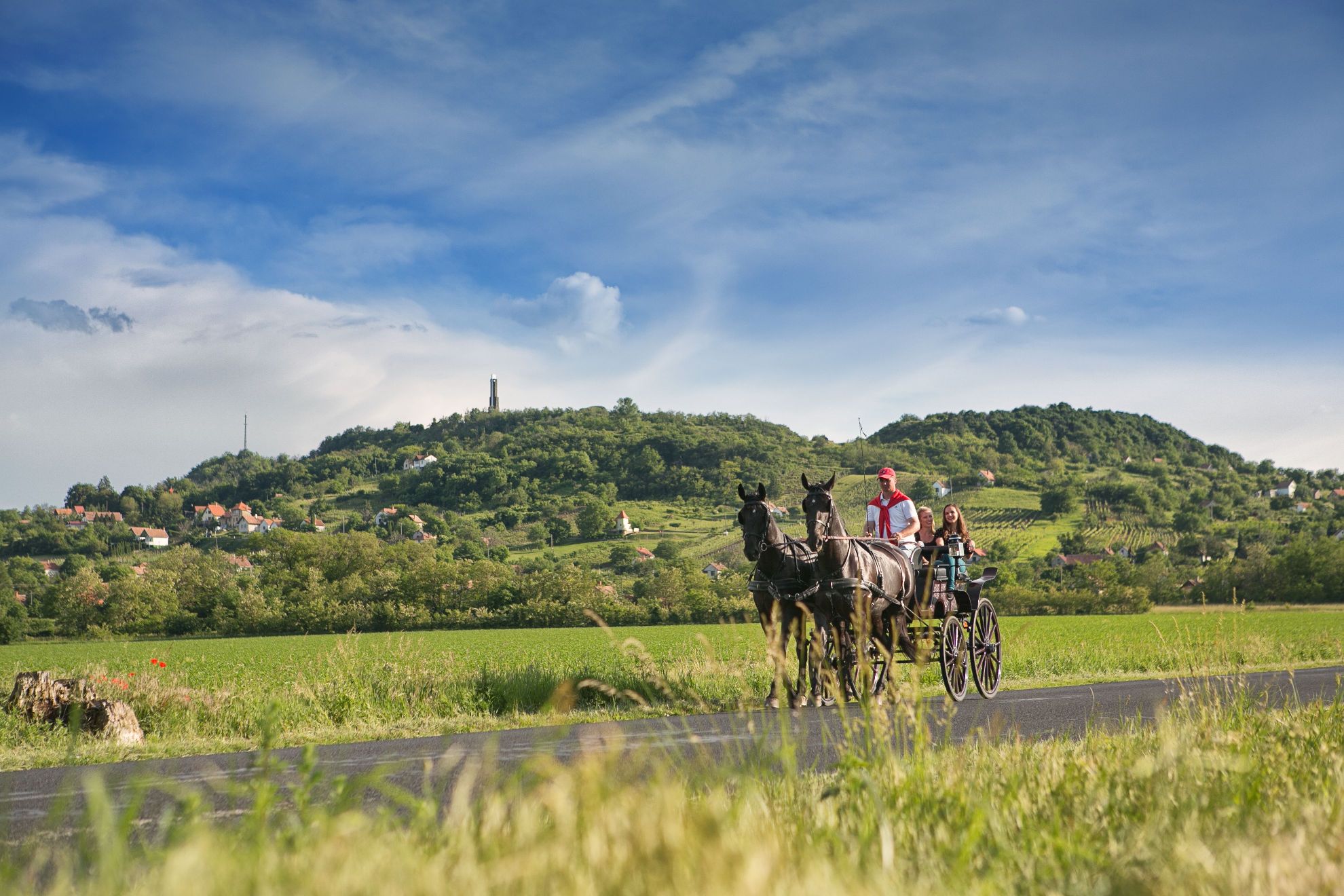 S&aacute;g hegy, az előt&eacute;rben lovaskocsival, ny&aacute;ri időszakban