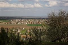 „Kilátás a Ság hegyről: tavaszi panoráma virágzó fákkal, szőlősorokkal és a távolban elterülő kisvárossal, Celldömölkkel.”