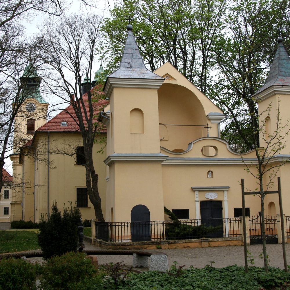 02-CellTulipan-bs-008